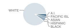 Hartford Elementary School Student Race Distribution