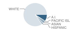 Hartford High School Student Race Distribution