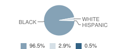 J.f. Wahl Elementary School Student Race Distribution