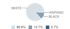 Cross County High School Student Race Distribution