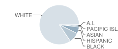 Lakeside Junior High School Student Race Distribution