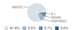 Lincoln High School Student Race Distribution