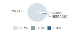 Norfork High School Student Race Distribution