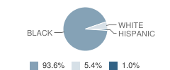 Boone Park Elementary School Student Race Distribution