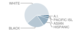 Arnold Drive Elementary School Student Race Distribution