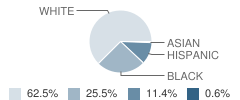 Oak Grove Elementary School Student Race Distribution