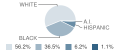 Sherwood Elementary School Student Race Distribution