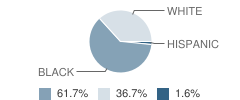 Murrell Taylor Elementary School Student Race Distribution