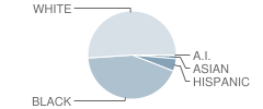 Joe T. Robinson Middle School Student Race Distribution