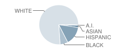 Russellville Jr. High School Student Race Distribution