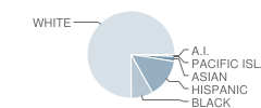 Russellville High School Student Race Distribution