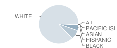 Ahlf Junior High School Student Race Distribution