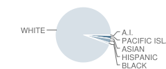Vilonia Junior High School Student Race Distribution