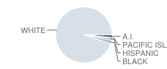 Viola High School Student Race Distribution