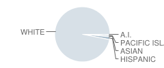 Yellville-Summit Elementary School Student Race Distribution