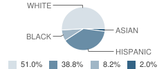 Academy of Excellence - Central Arizona Student Race Distribution