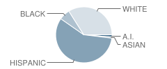 Bales Elementary School Student Race Distribution