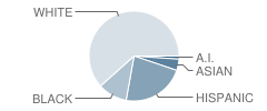 Willow Canyon High School Student Race Distribution