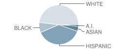 Raymond S. Kellis School Student Race Distribution