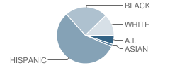 Pinnacle High School - Tempe Student Race Distribution