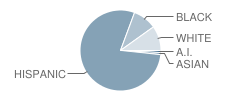 Gateway Early College High School Student Race Distribution