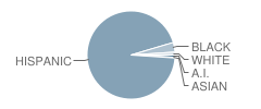 Vicki A. Romero High School Student Race Distribution