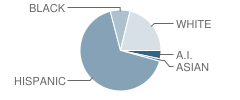 Burke Basic School Student Race Distribution