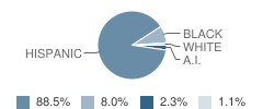 Career Success High School - Glendale Student Race Distribution