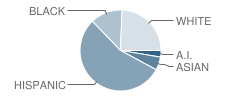 Imagine Charter Elementary School at Cortez Park Student Race Distribution