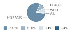 Academy of Arizona - Main Student Race Distribution