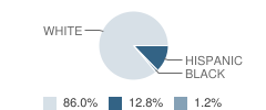 Pace Preparatory Academy Student Race Distribution