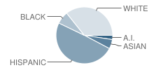 Imagine Charter Middle School at Cortez Park Student Race Distribution