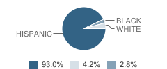 Precision Academy Student Race Distribution