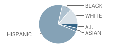 Catalina Ventura School Student Race Distribution