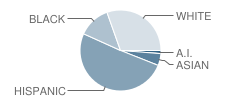 Alhambra Traditional School Student Race Distribution