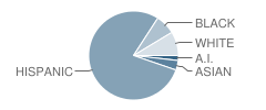 Sevilla West School Student Race Distribution