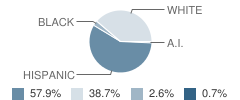 Arlington Elementary School Student Race Distribution