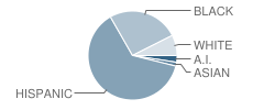 David Crockett School Student Race Distribution