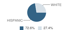 Bowie Elementary School Student Race Distribution