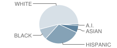 Sierra Vista Middle School Student Race Distribution