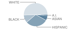 Apache Middle School Student Race Distribution