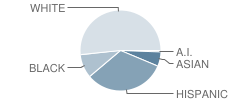 Pueblo Del Sol Elementary School Student Race Distribution