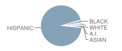 G. Frank Davidson School Student Race Distribution