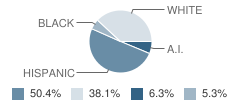 Evergreen Elementary School Student Race Distribution