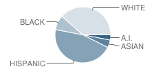 Ironwood School Student Race Distribution