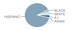 Loma Linda Elementary School Student Race Distribution