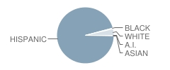 Douglas High School Student Race Distribution