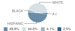 Mary C O'brien Elementary School Student Race Distribution