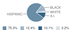 Villa Oasis Interscholastic Center for Education School Student Race Distribution