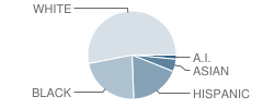 General Myer Elementary School Student Race Distribution